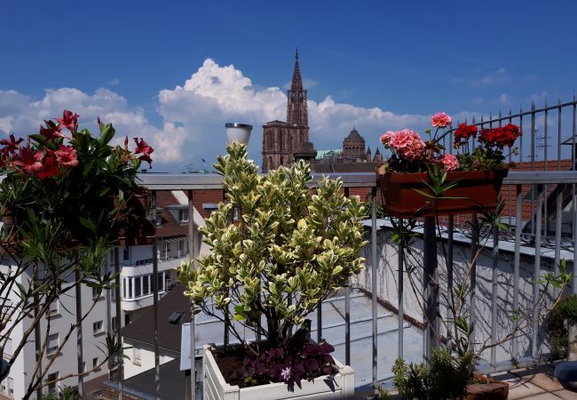 Ferienwohnung in Strasbourg - emilie 145m2 ac 1 free parking 4br 2bth Ferienwohnung in Strasbourg - emilie 145m2 ac 1 free parking 4br 2bth