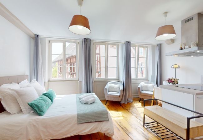 Studio in Colmar - Les gîtes d'Elouise 2