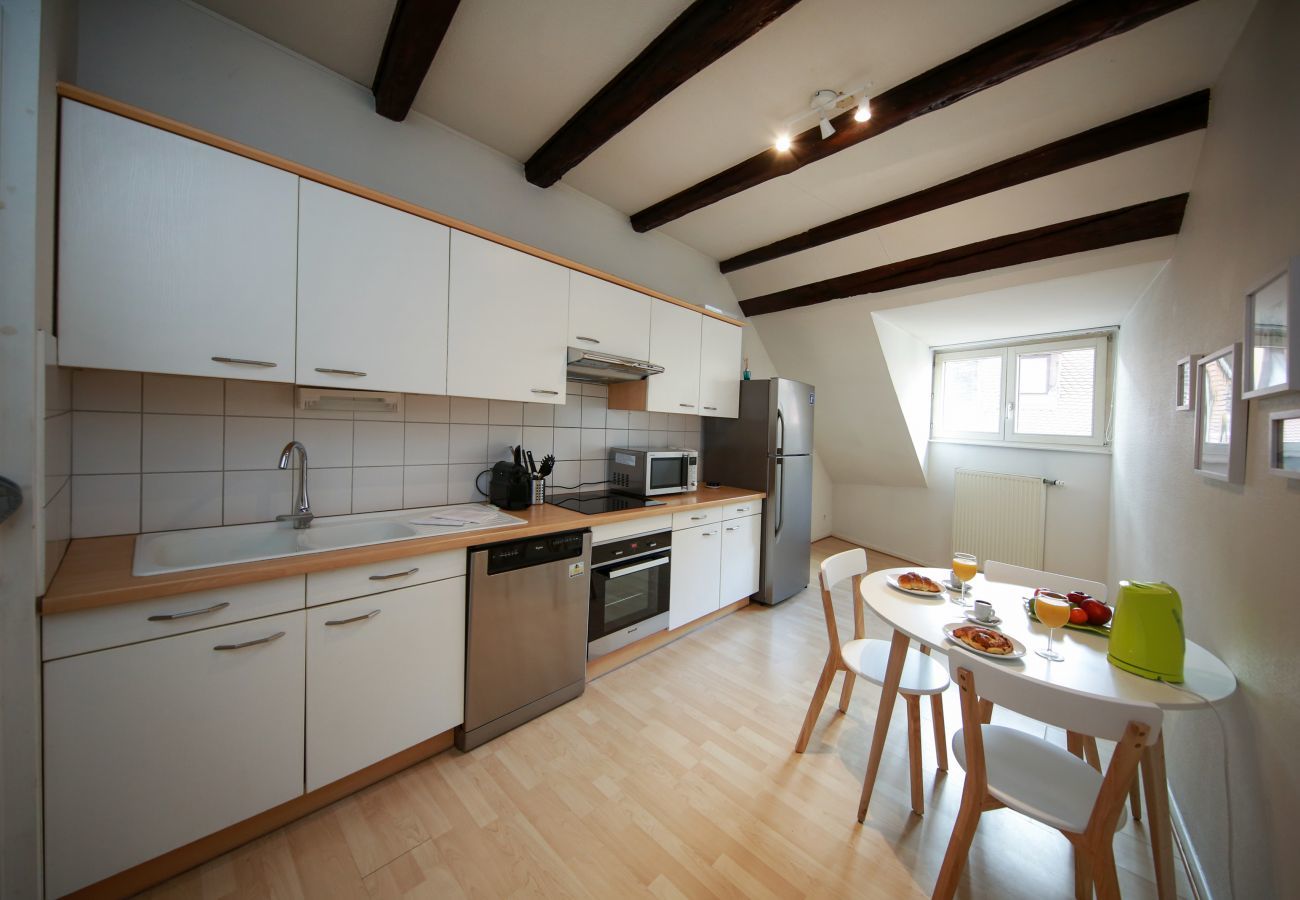 Ferienwohnung in Colmar - baumgartner 117m2 city center ac 3br 2bth