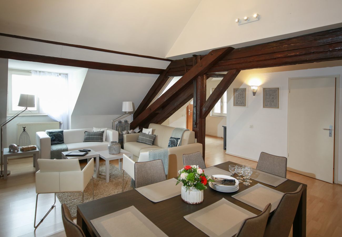 Ferienwohnung in Colmar - baumgartner 117m2 city center ac 3br 2bth