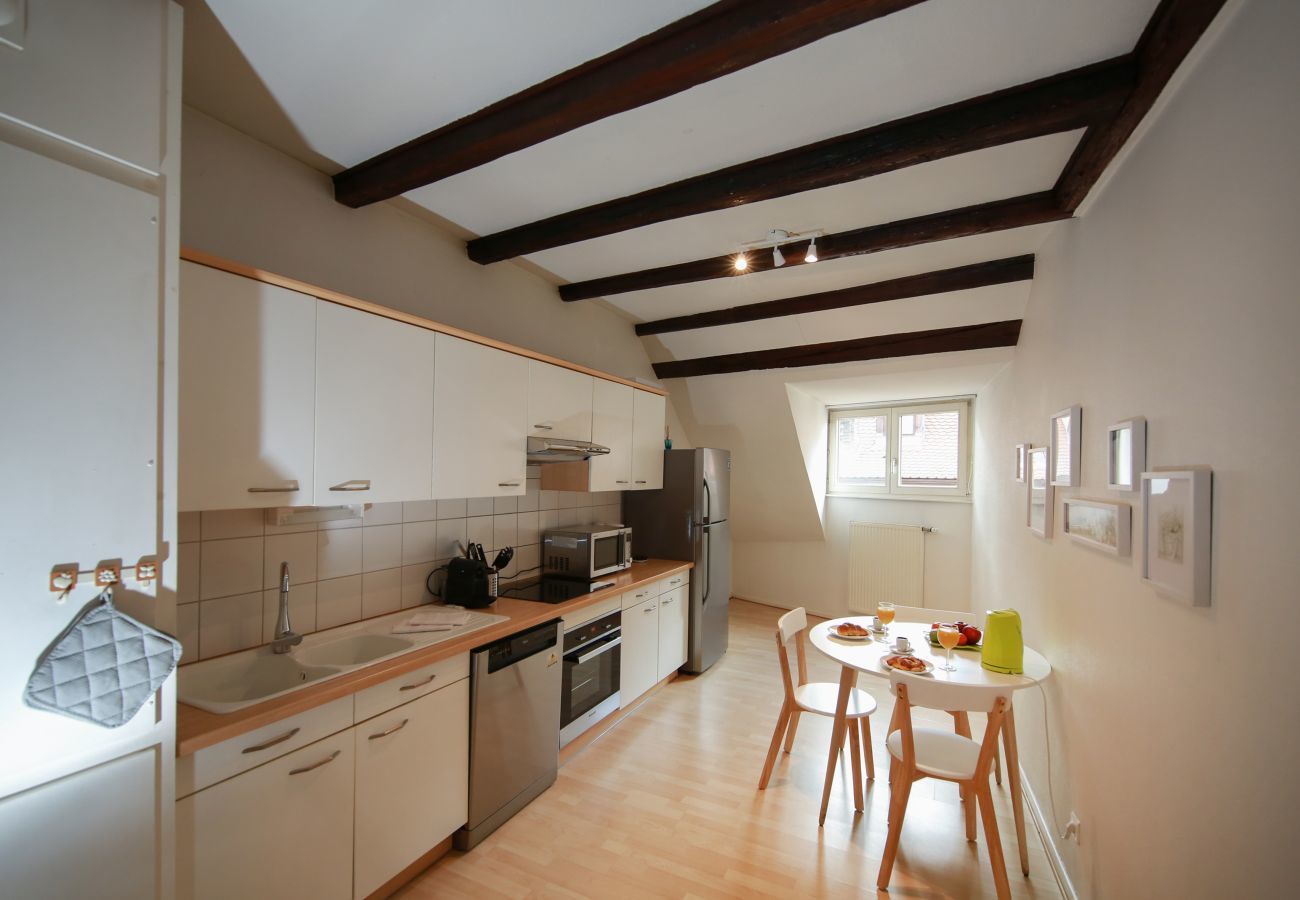 Ferienwohnung in Colmar - baumgartner 117m2 city center ac 3br 2bth