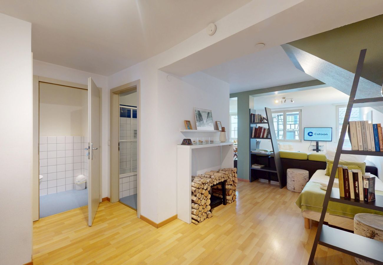 Ferienwohnung in Colmar - dollfus 80m2 city center 2br