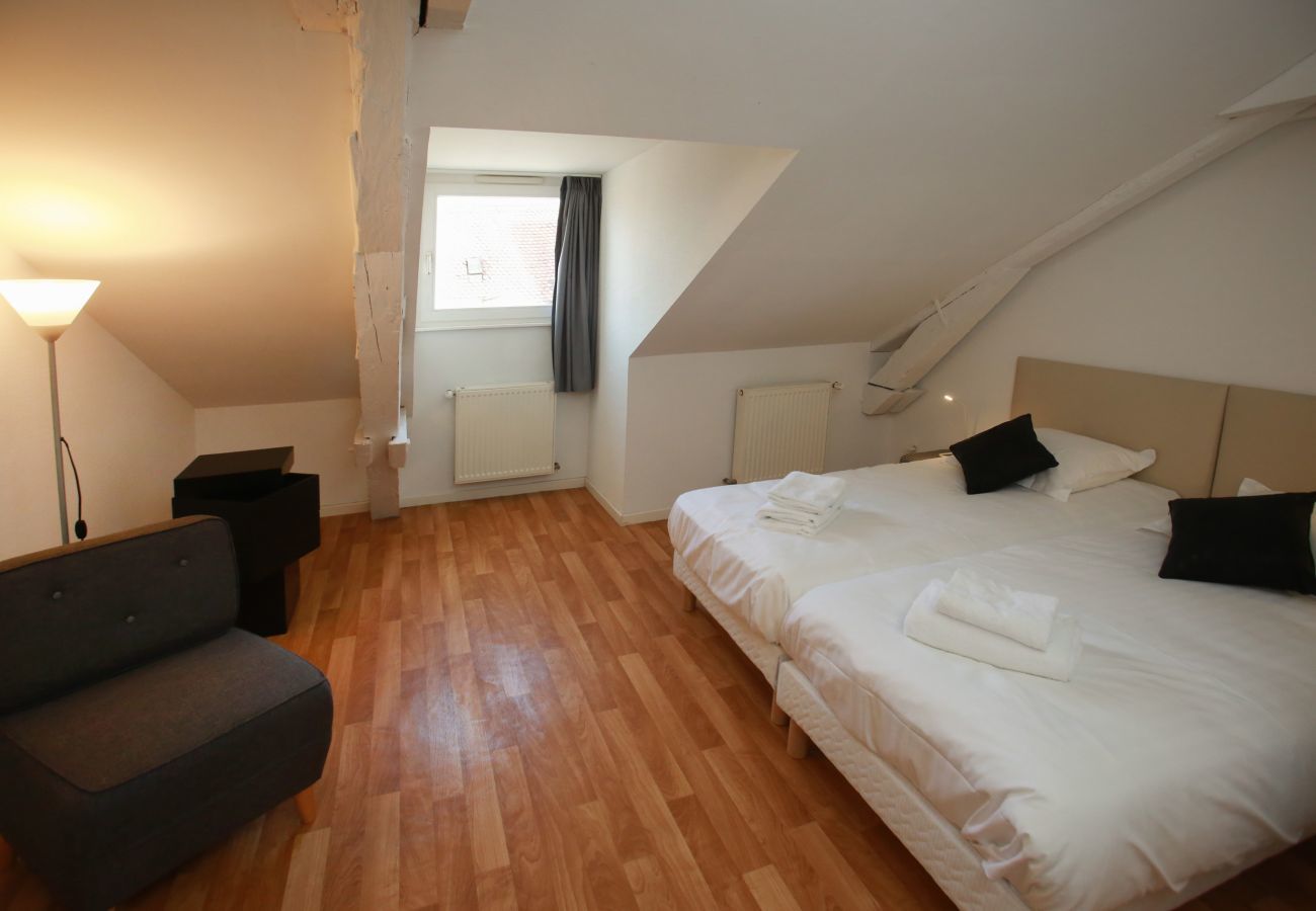 Ferienwohnung in Colmar - bloch duplex 165m2 city center 4br3bth