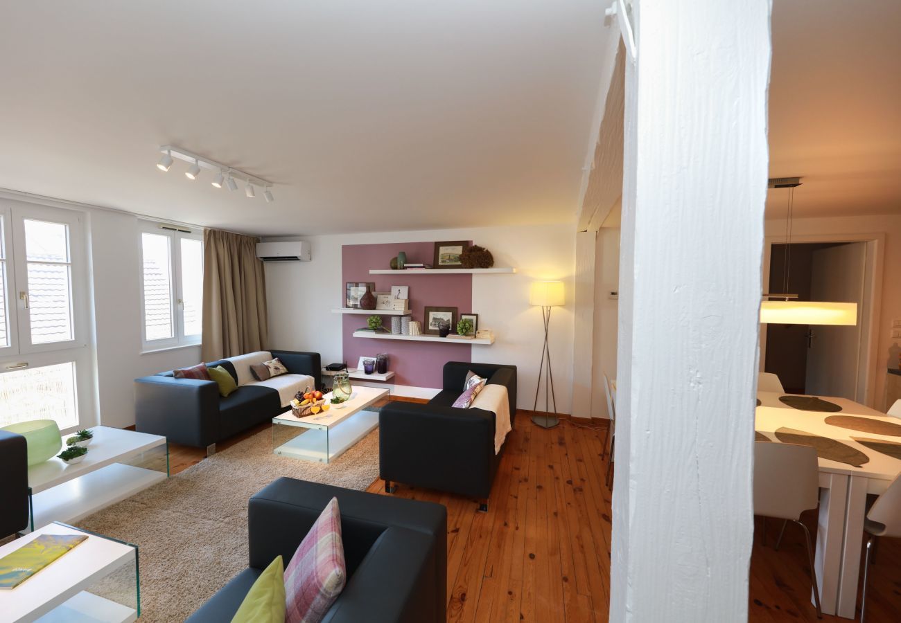 Ferienwohnung in Colmar - decker duplex city center 145m2 ac 3br 3bth