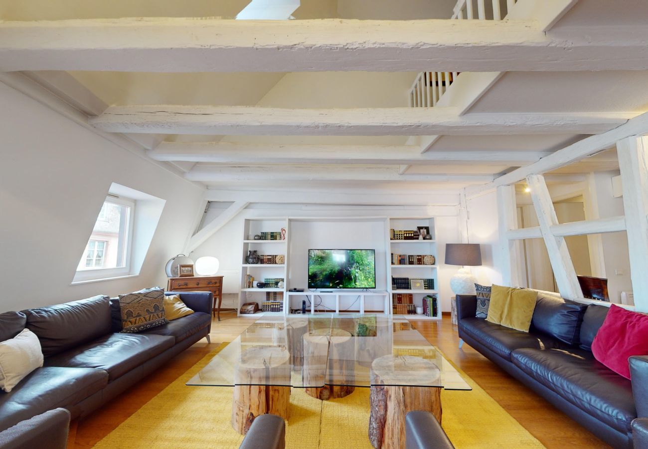 Ferienwohnung in Colmar - dreyfus duplex city center ac 3br 2bth 165m2