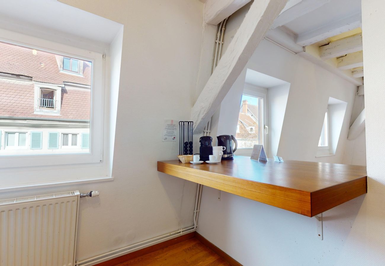 Ferienwohnung in Colmar - dreyfus duplex city center ac 3br 2bth 165m2