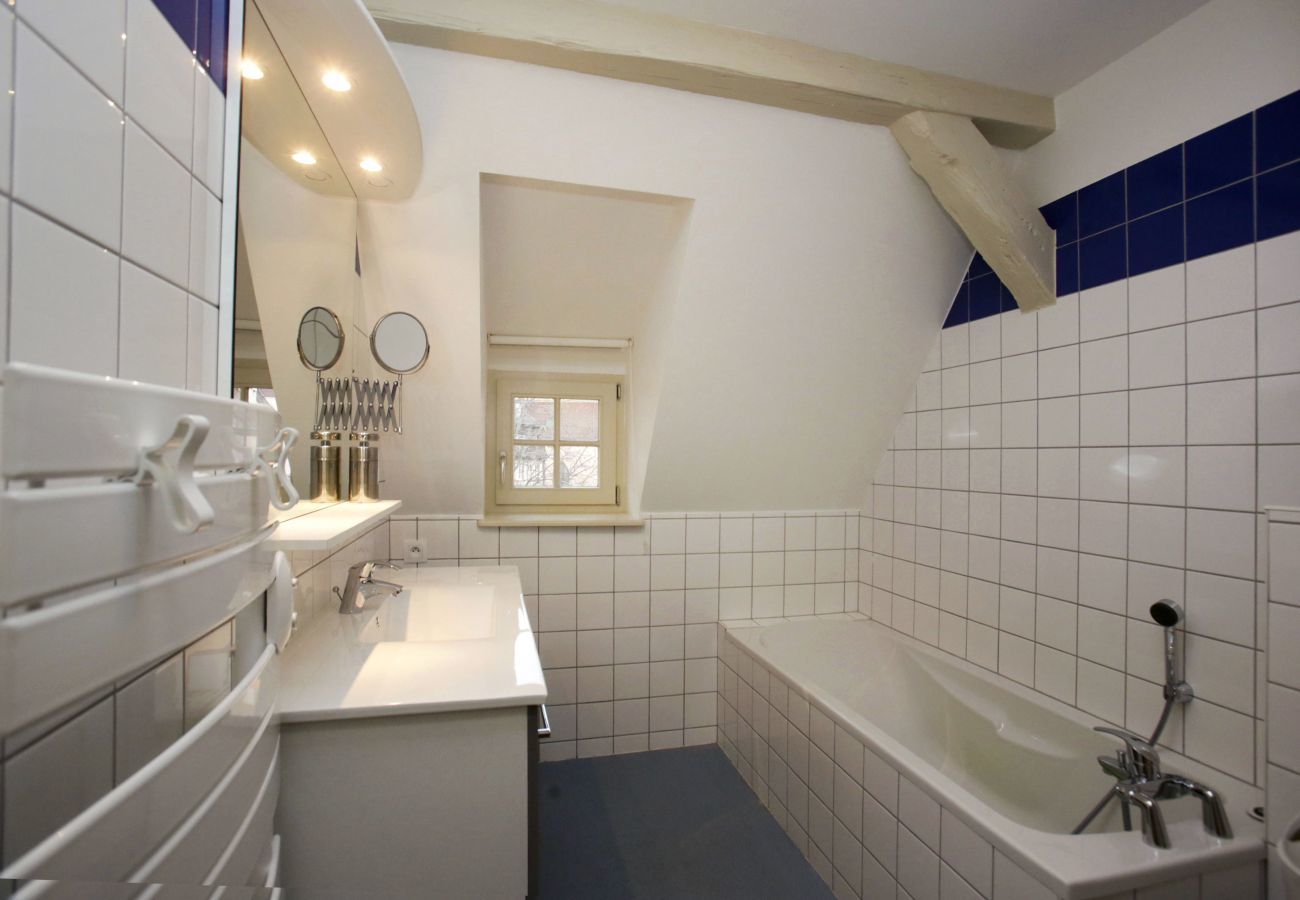 Ferienwohnung in Colmar - gluck duplex 97m2 city center 3br 2bth