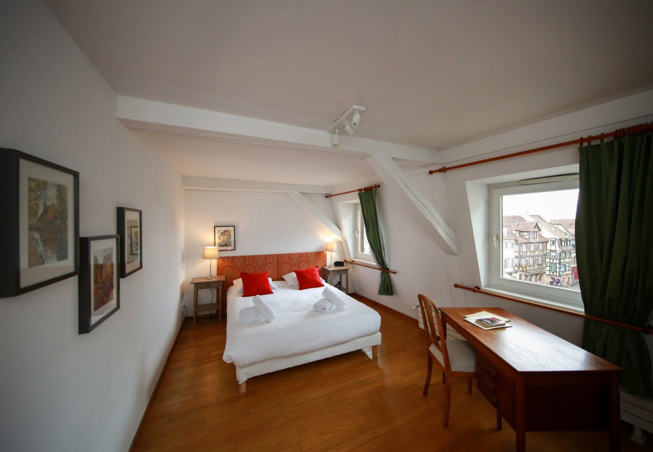 Ferienwohnung in Colmar - herzog duplex ac 160m2 city center 5br 3bth