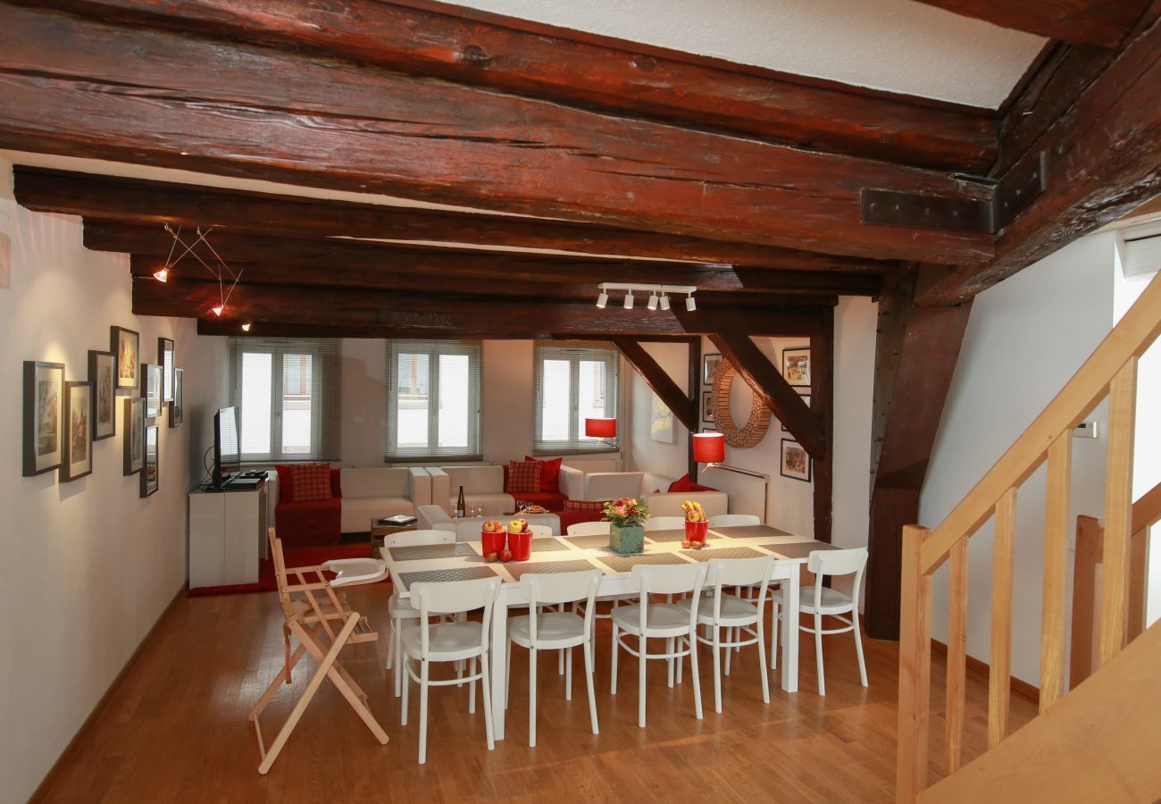 Ferienwohnung in Colmar - herzog duplex ac 160m2 city center 5br 3bth