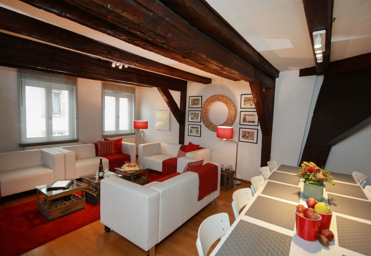 Ferienwohnung in Colmar - herzog duplex ac 160m2 city center 5br 3bth