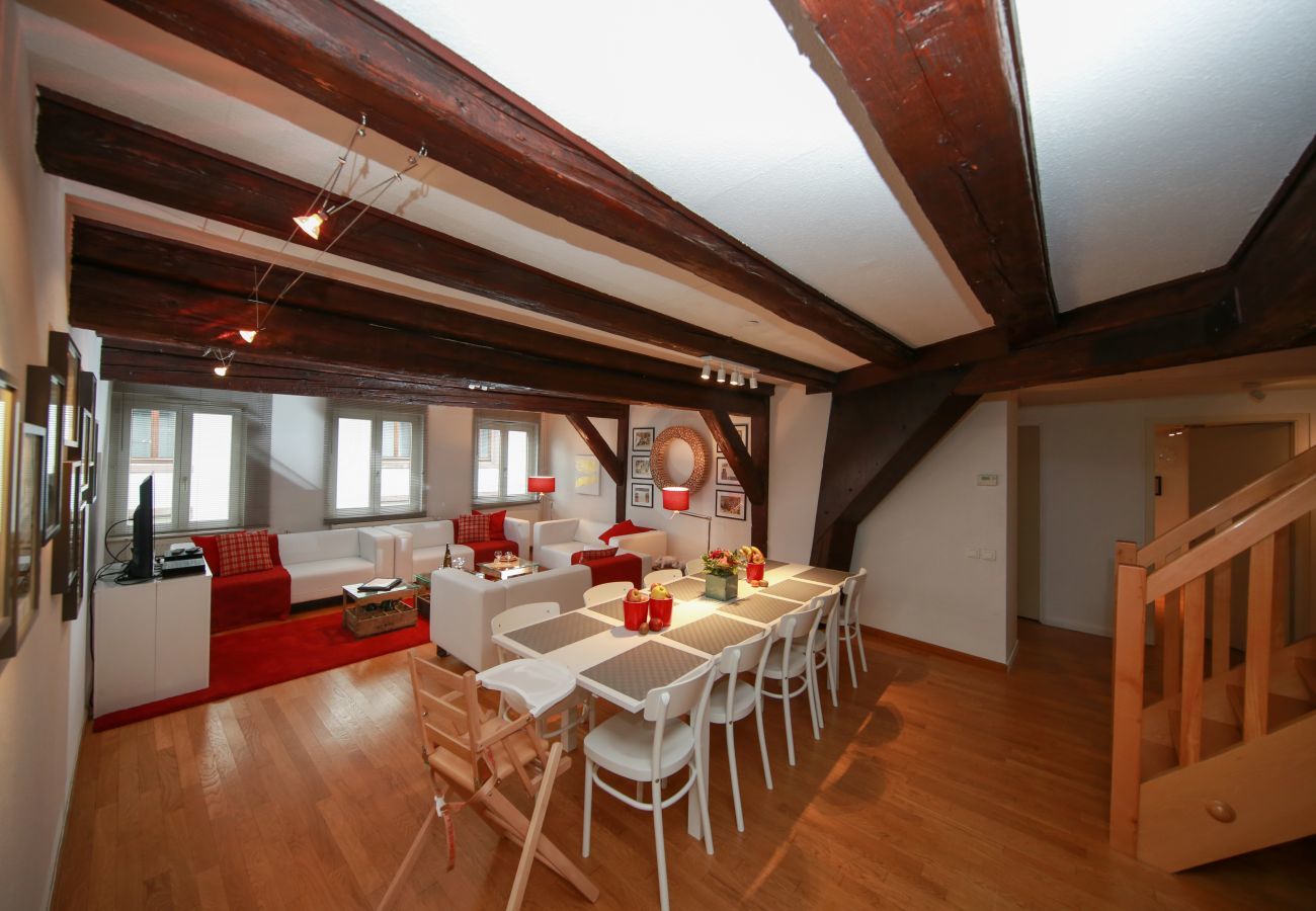 Ferienwohnung in Colmar - herzog duplex ac 160m2 city center 5br 3bth