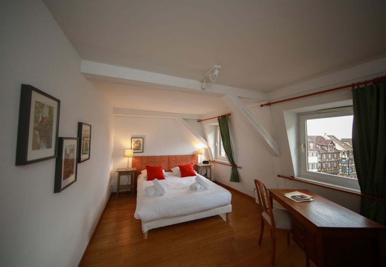 Wohnung in Colmar - herzog duplex ac 160m2 city center 5br 3bth