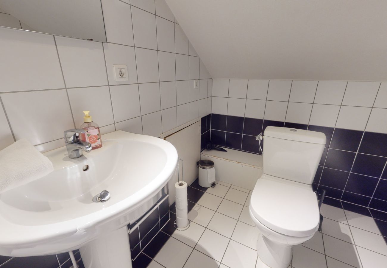 Ferienwohnung in Colmar - loux duplex 195m2 ac city center 4br 3bth 15p