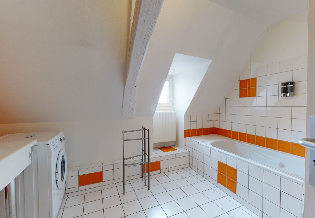 Ferienwohnung in Colmar - wallach duplex ac 78m2 city center up to 6