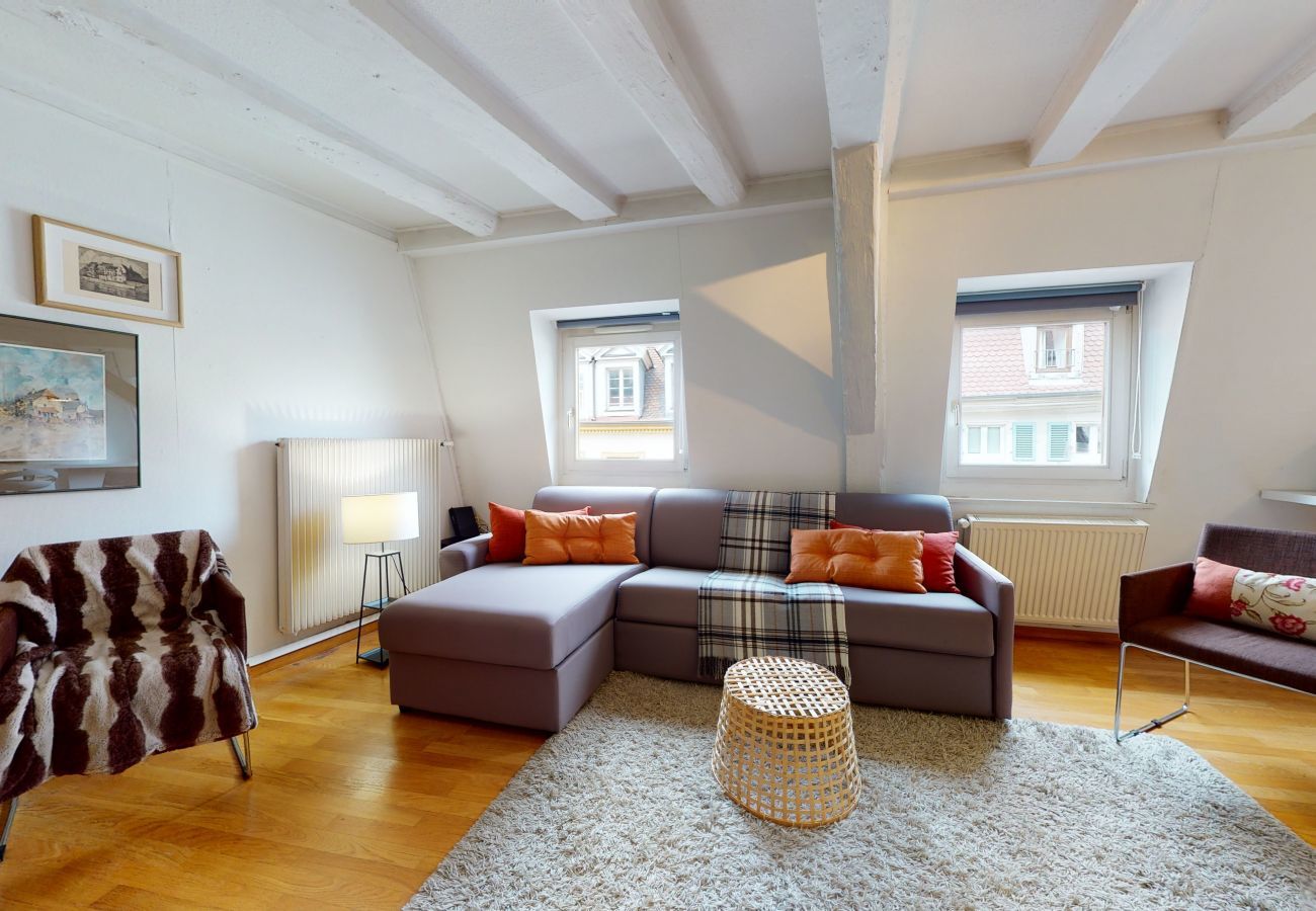 Ferienwohnung in Colmar - wallach duplex ac 78m2 city center up to 6