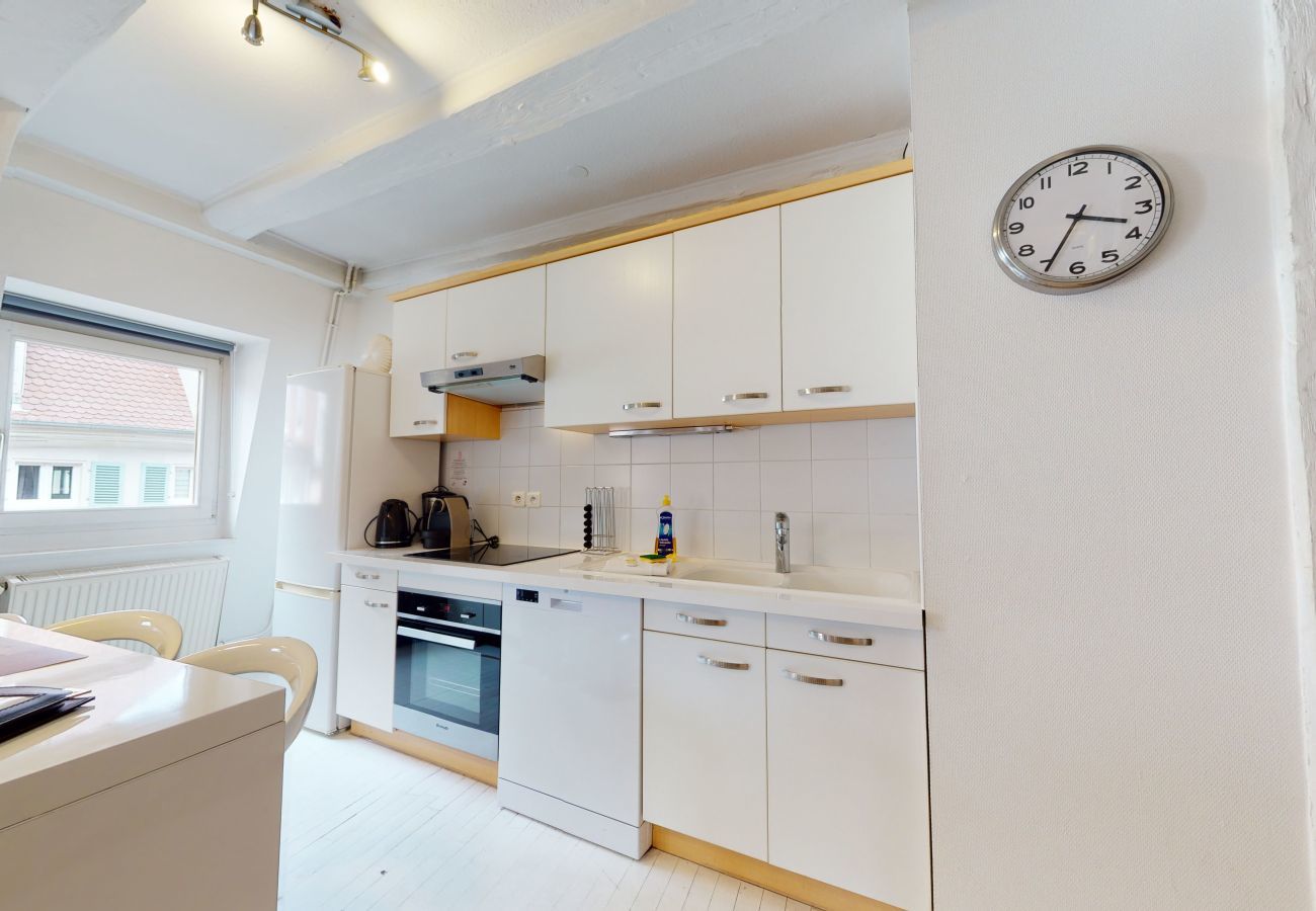 Ferienwohnung in Colmar - wallach duplex ac 78m2 city center up to 6