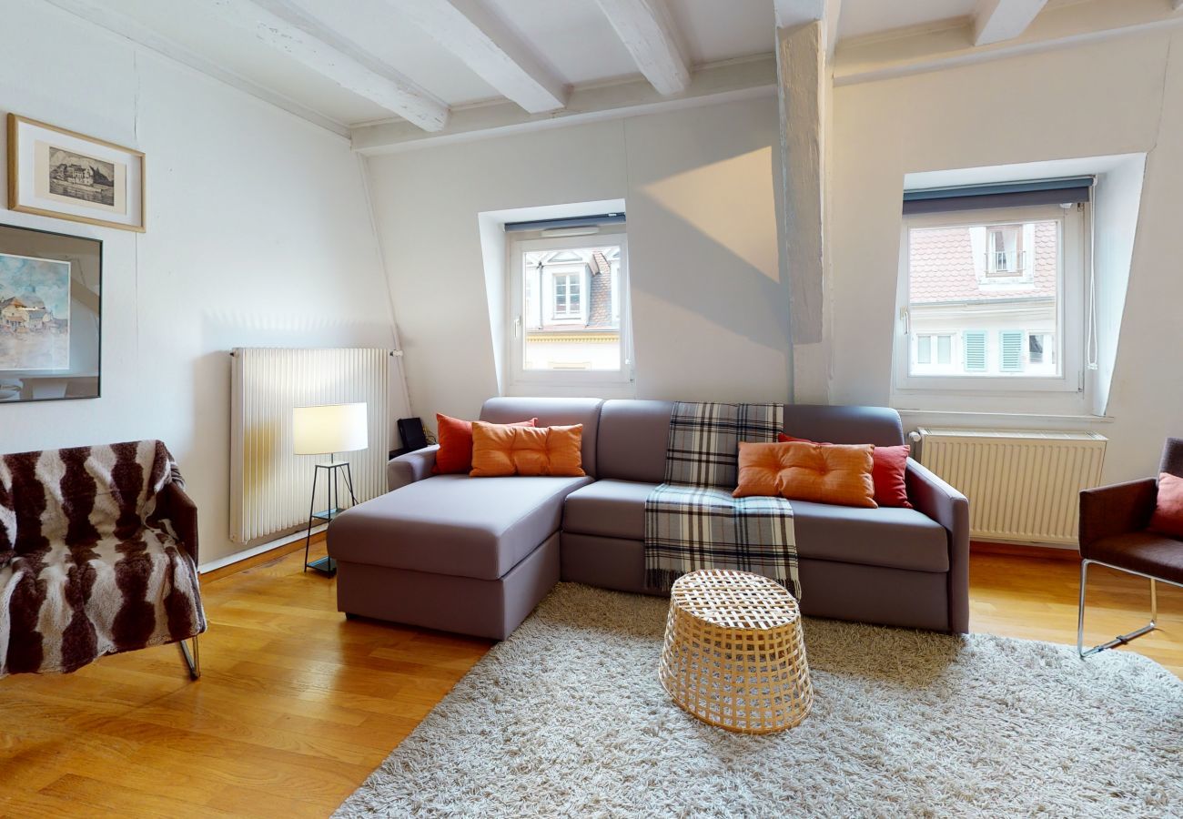Wohnung in Colmar - wallach duplex ac 78m2 city center up to 6
