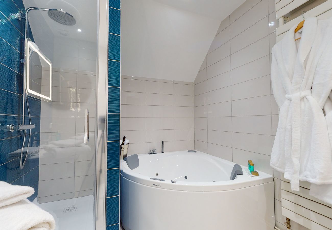 Ferienwohnung in Colmar - hansi spa city center  up to 4