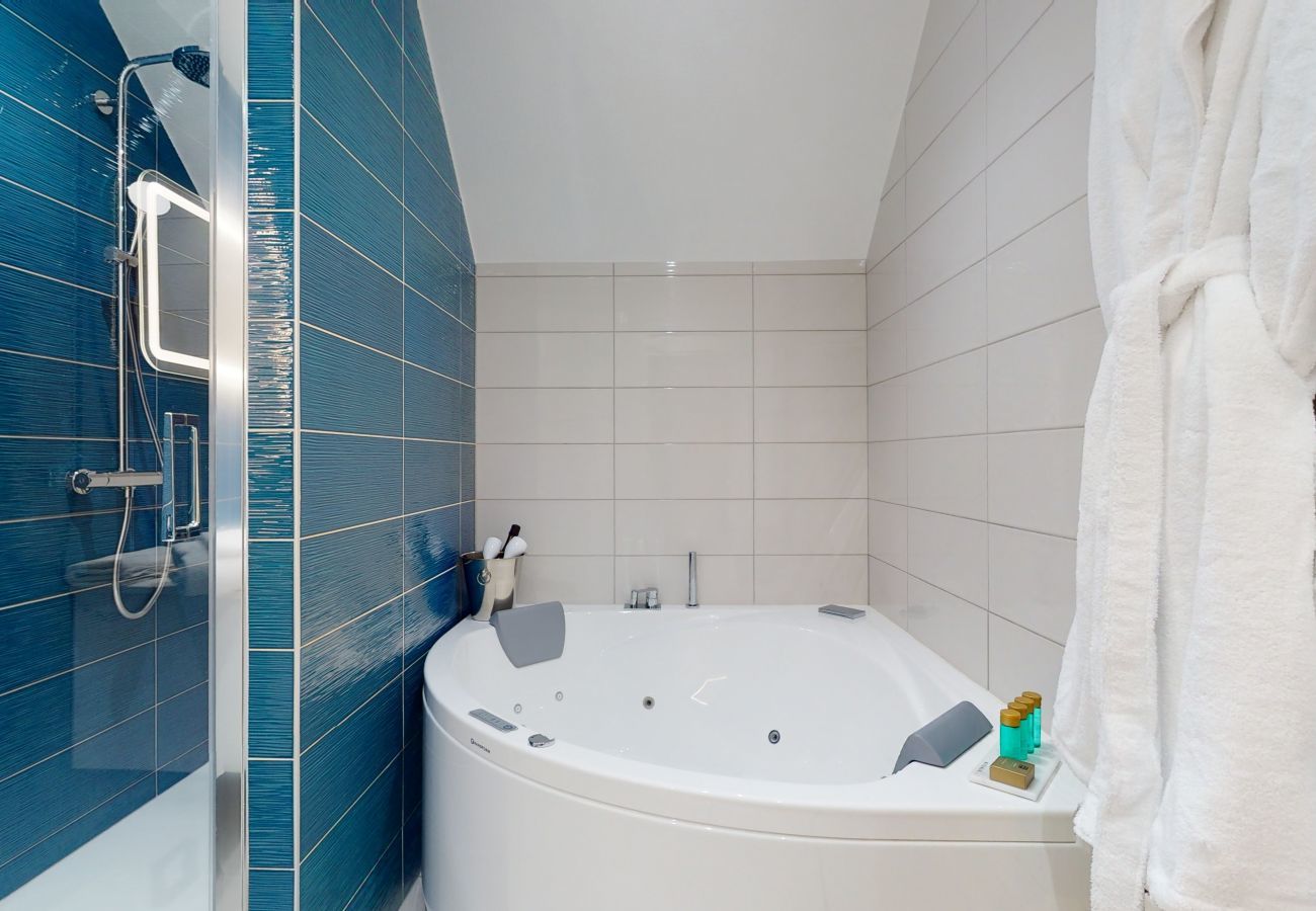 Ferienwohnung in Colmar - hansi spa city center  up to 4