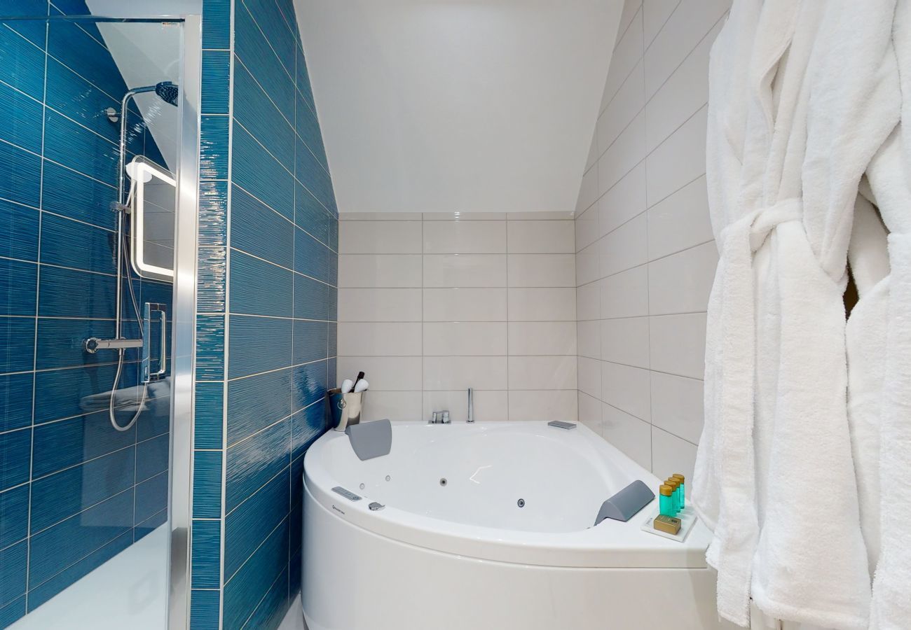 Ferienwohnung in Colmar - hansi spa city center  up to 4