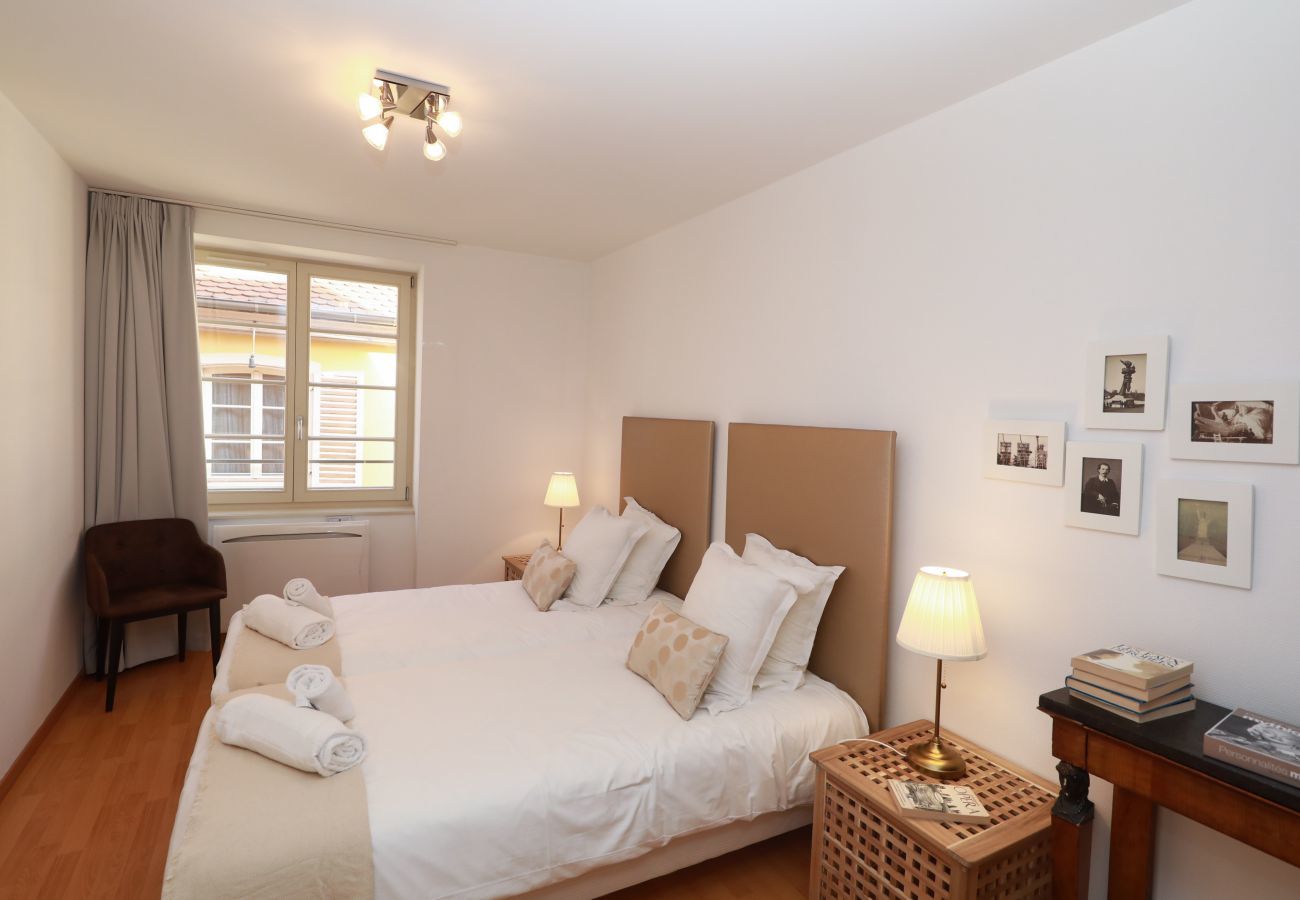 Ferienwohnung in Colmar - lang 80m2 city center          3br