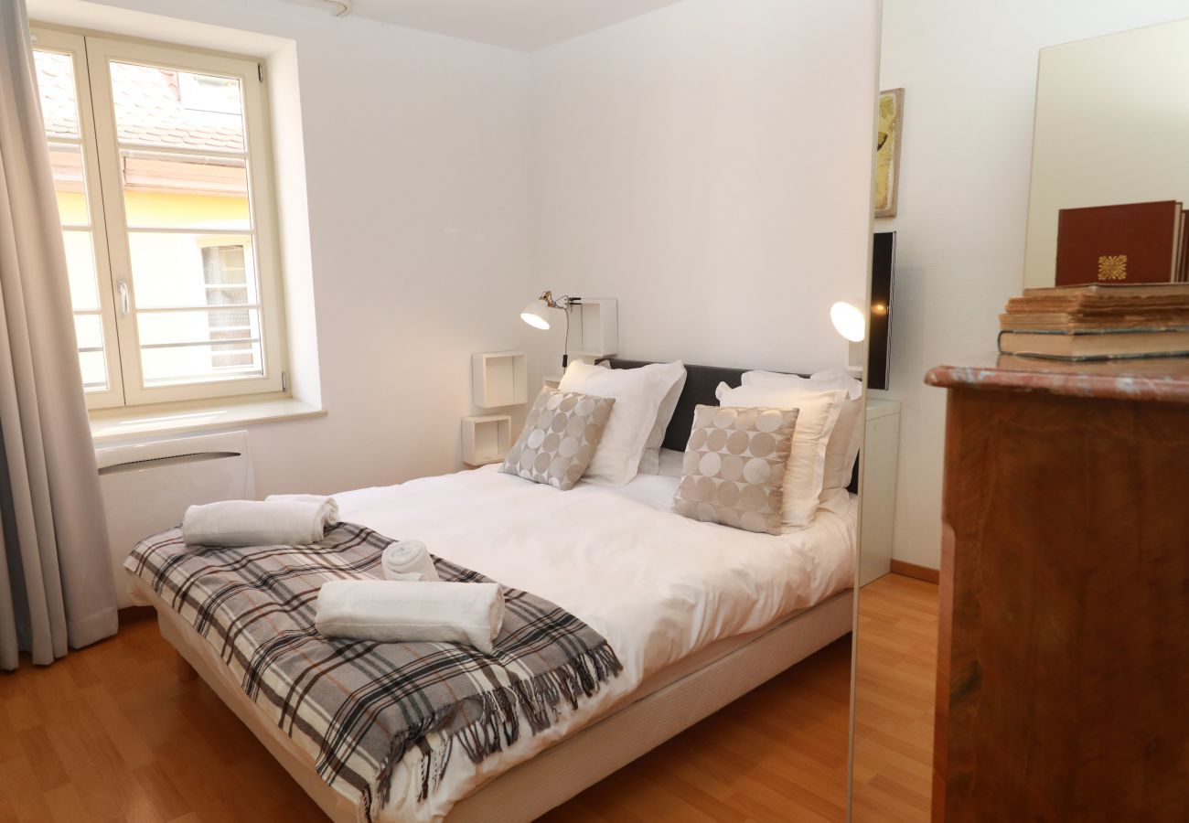 Ferienwohnung in Colmar - lang 80m2 city center          3br