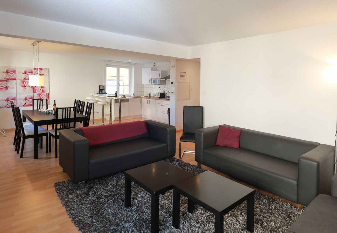 Ferienwohnung in Colmar - schlumberger 120m2 city center 3br 2bth