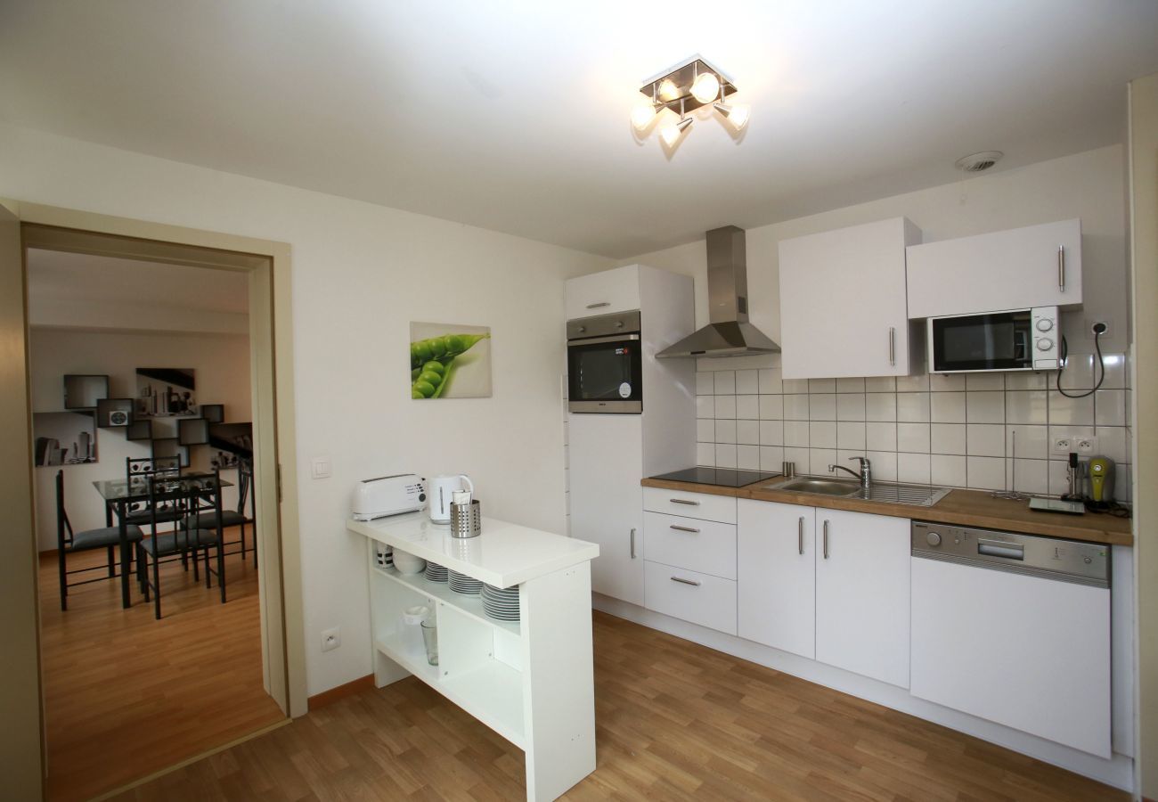 Ferienwohnung in Colmar - hartmann 80m2 city center    2br