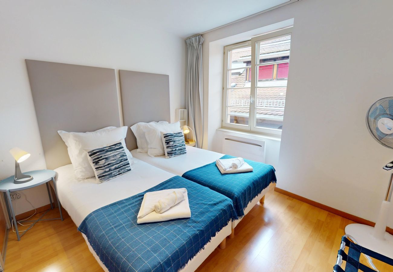 Ferienwohnung in Colmar - hartmann 80m2 city center    2br