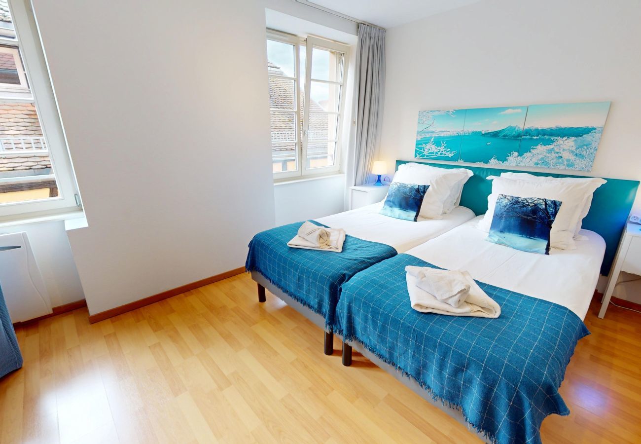 Ferienwohnung in Colmar - hartmann 80m2 city center    2br