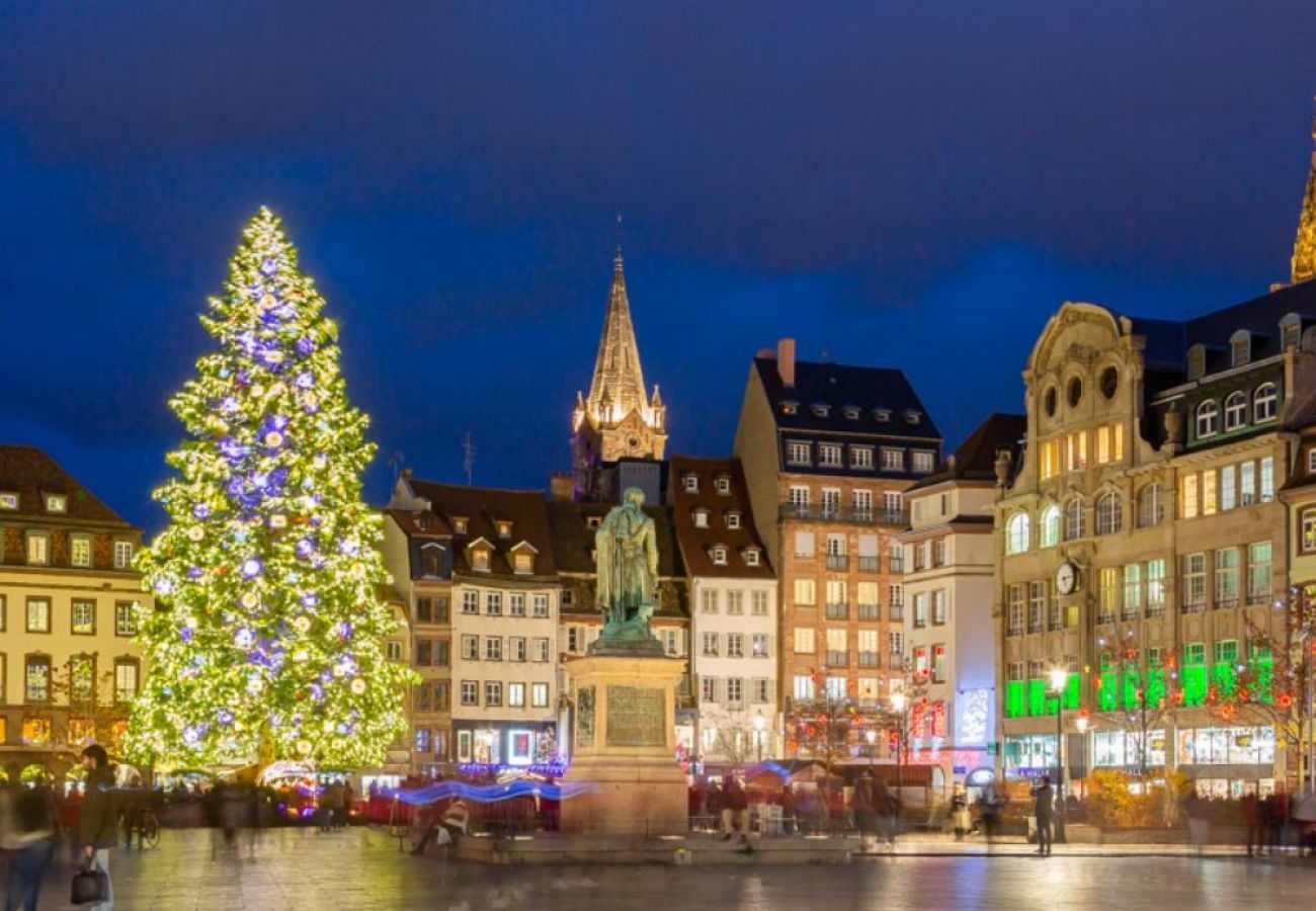 Ferienwohnung in Strasbourg - BLEU MESANGE **** 90m2 city center 2br 2bth