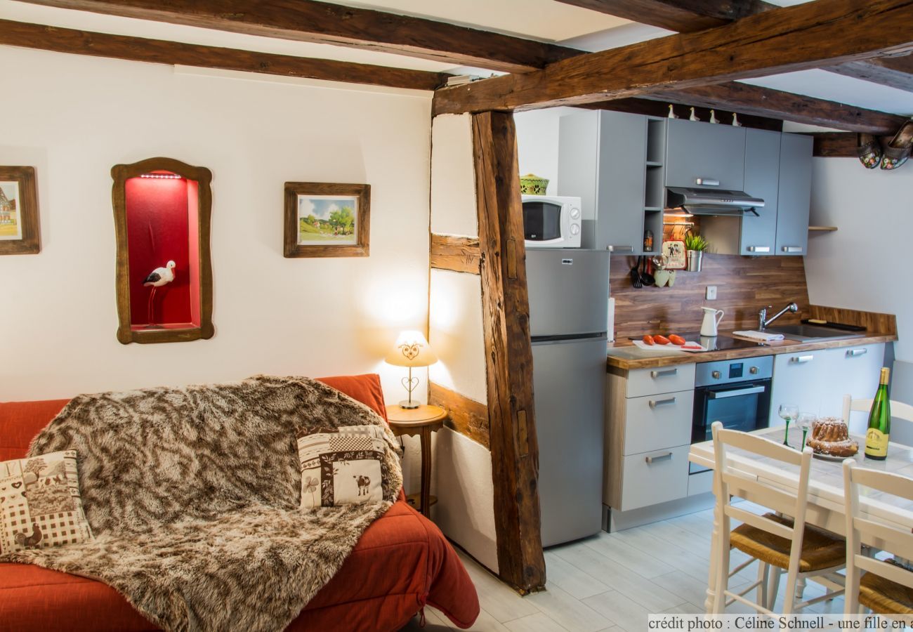 Ferienwohnung in Colmar - le repere des cigognes with access to lounge