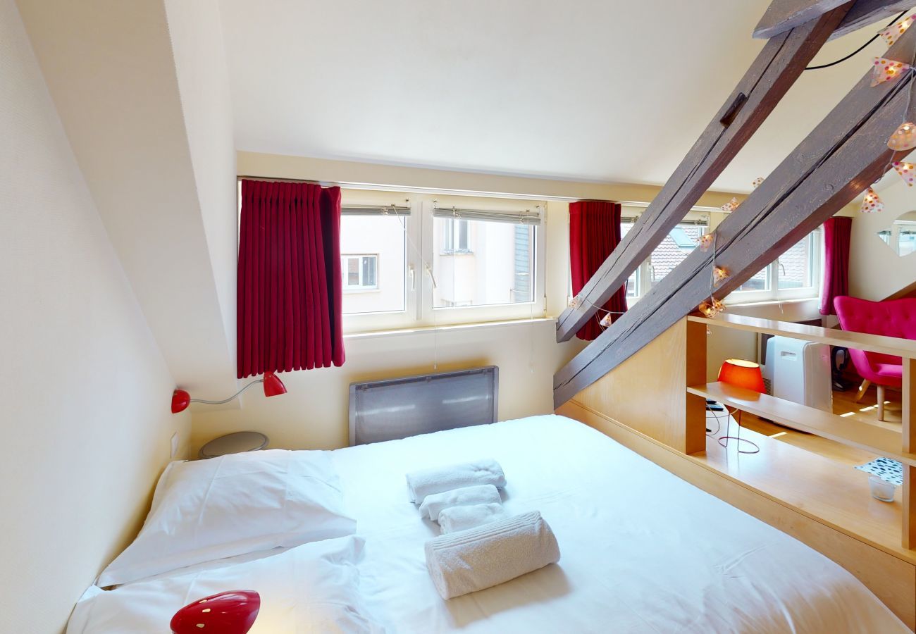 Studio in Strasbourg - loft pelletiers city center up to 4