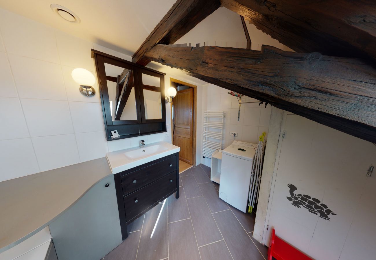 Ferienwohnung in Strasbourg - spacious duplex near petite france up to 4