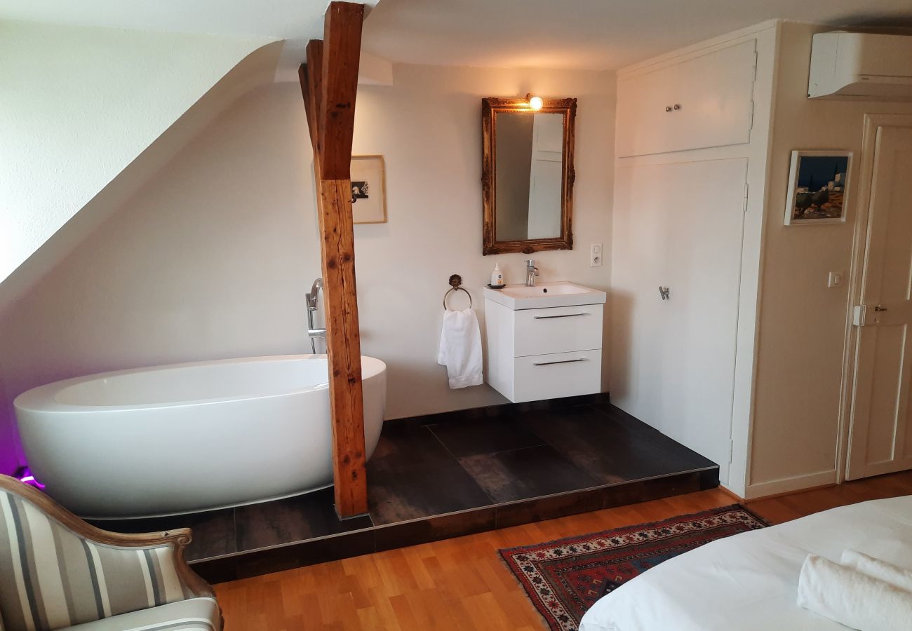 Ferienwohnung in Strasbourg - emilie 145m2 ac 1 free parking 4br 2bth