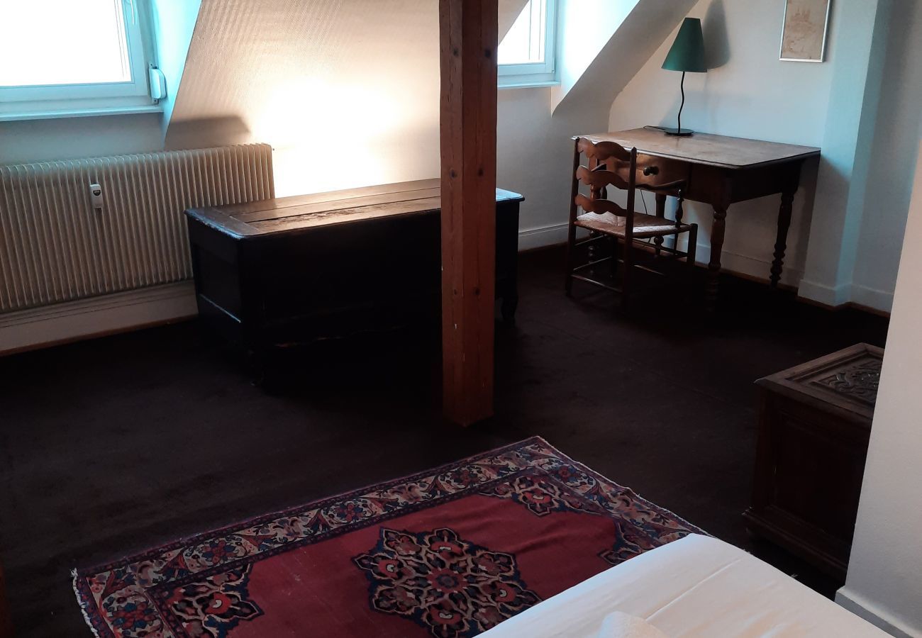 Ferienwohnung in Strasbourg - emilie 145m2 ac 1 free parking 4br 2bth