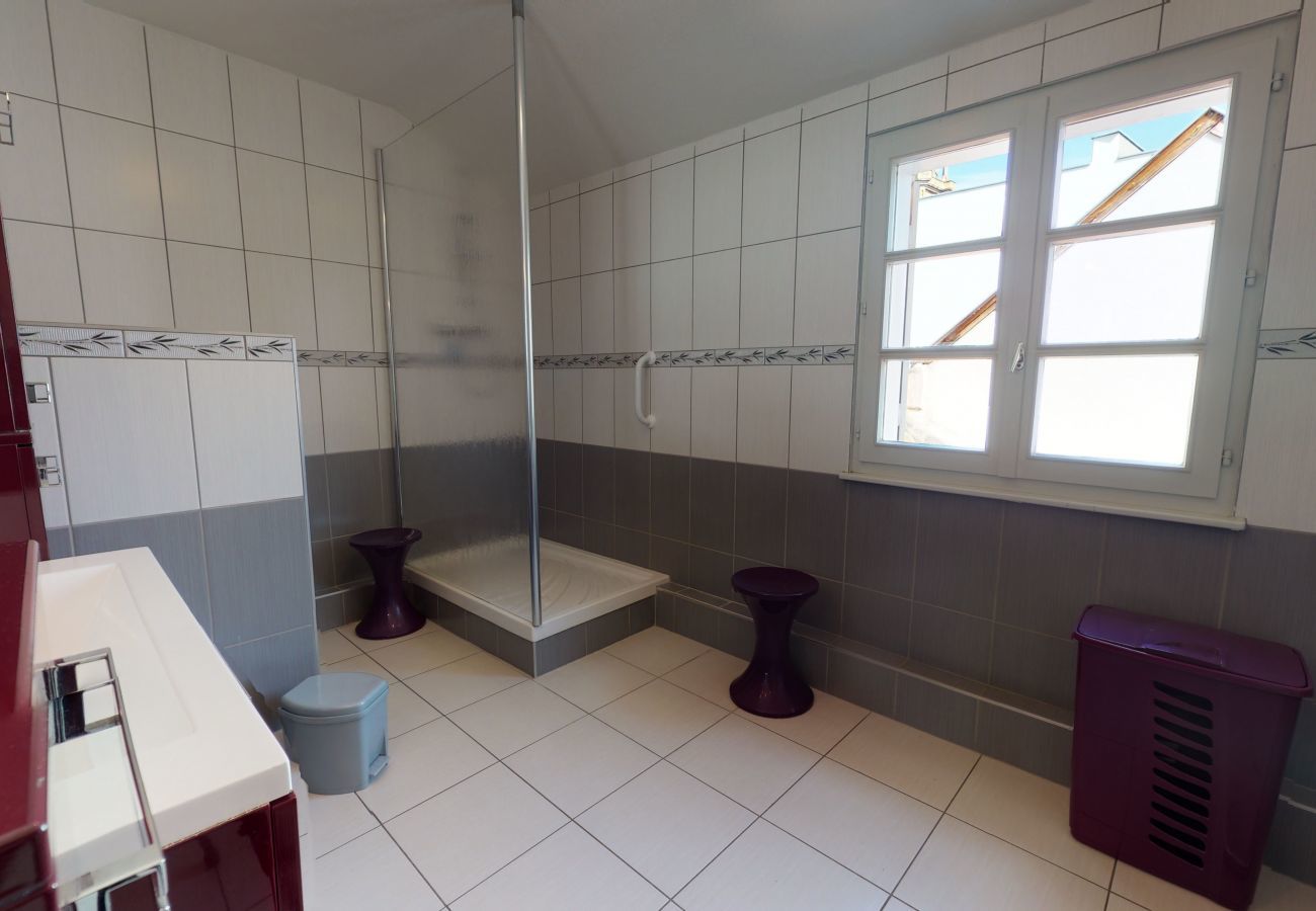 Ferienwohnung in Colmar - le saphir 1 free parking city center 3br 2bt