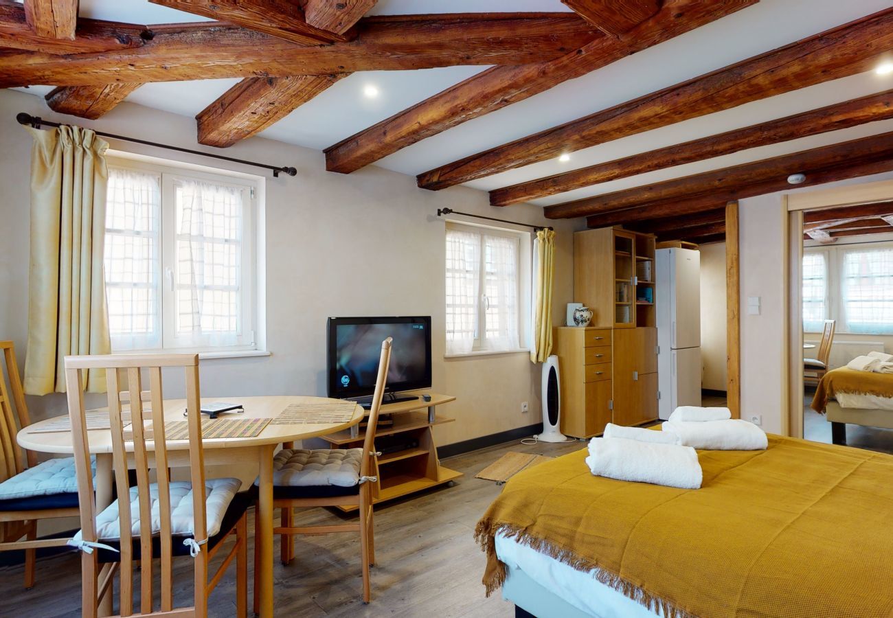 Studio in Colmar - le rubis***  + 1 free parking city center  up to 2