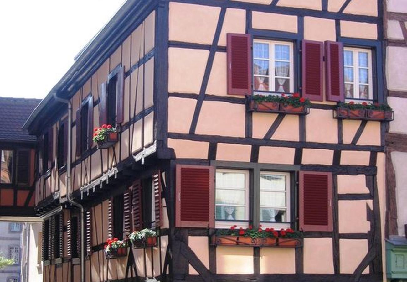 Ferienwohnung in Colmar - le diamant 1 free parking    2br