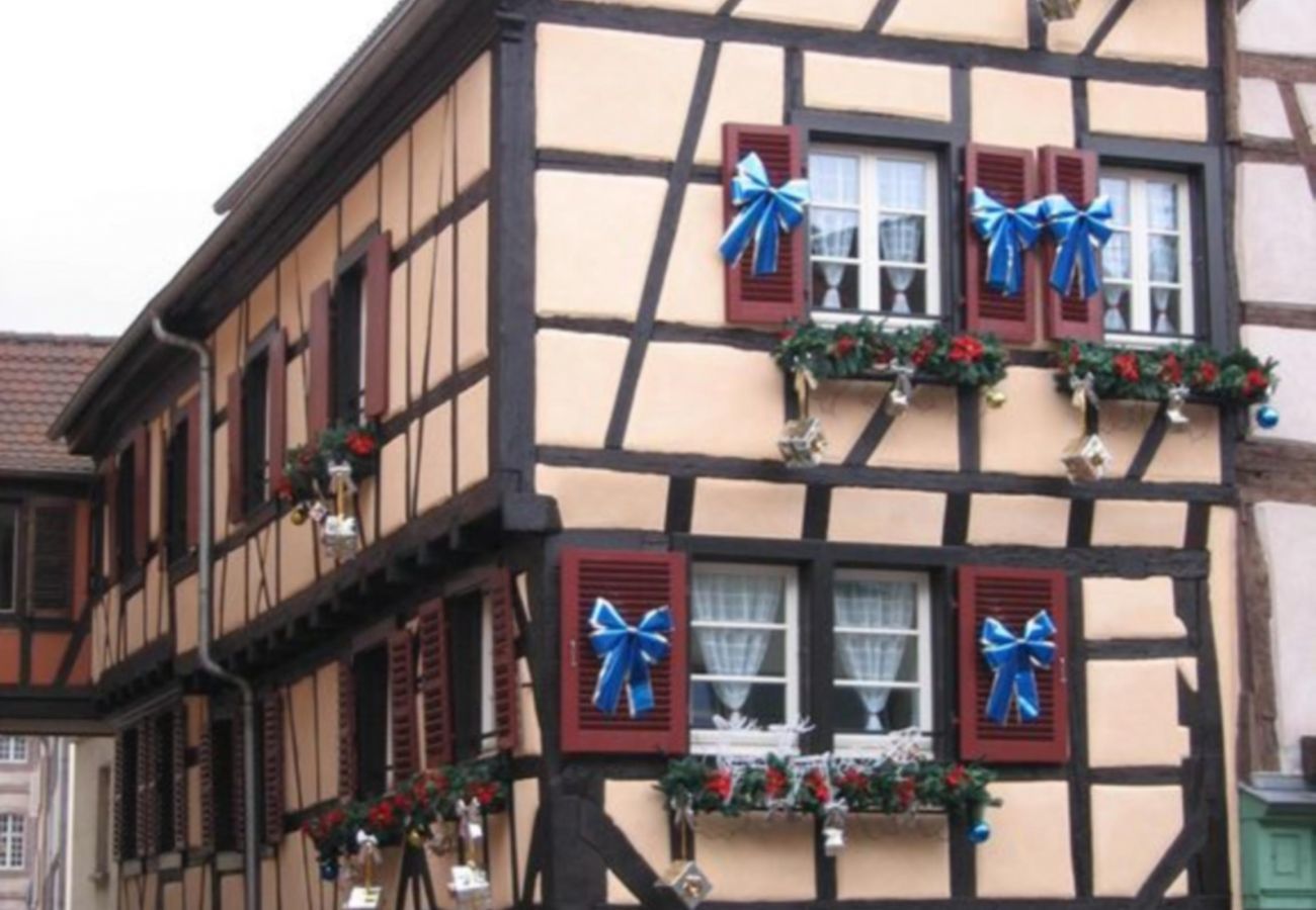 Ferienwohnung in Colmar - le diamant 1 free parking    2br