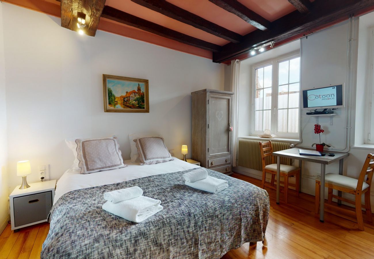 Ferienhaus in Colmar - maison le clos bartholdi 4br 4bth + lounge