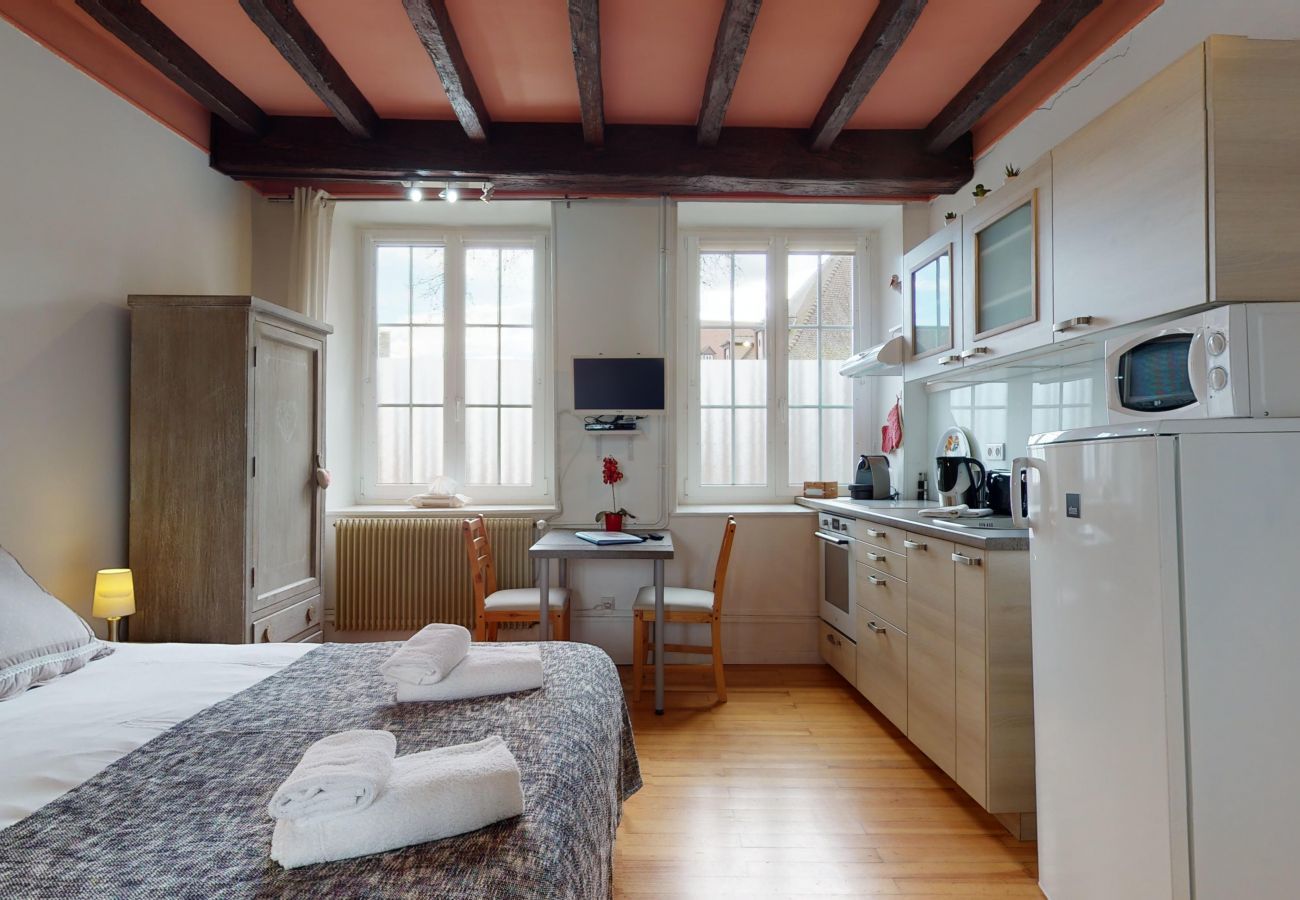 Ferienhaus in Colmar - maison le clos bartholdi 4br 4bth + lounge