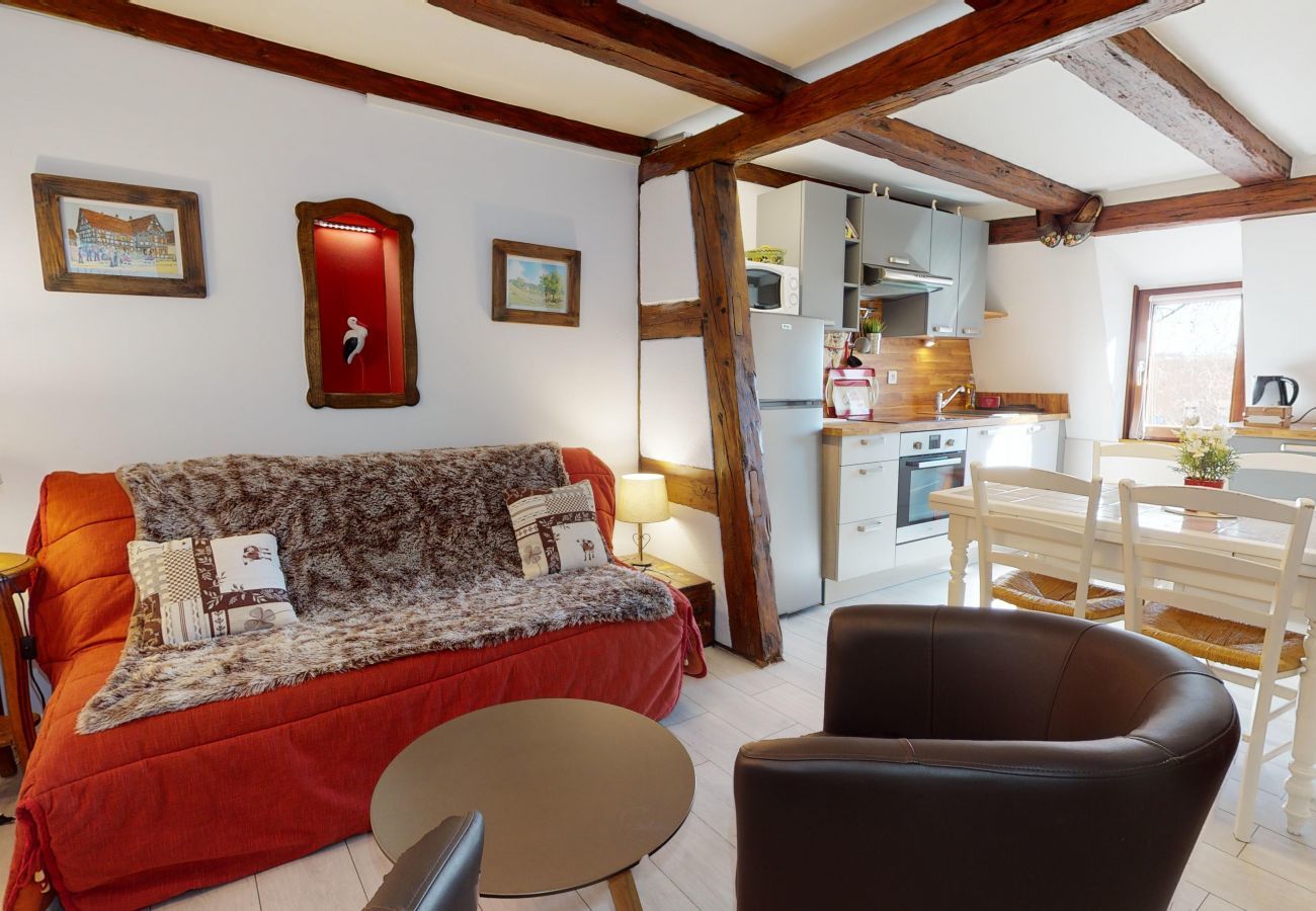 Ferienhaus in Colmar - maison le clos bartholdi 4br 4bth + lounge