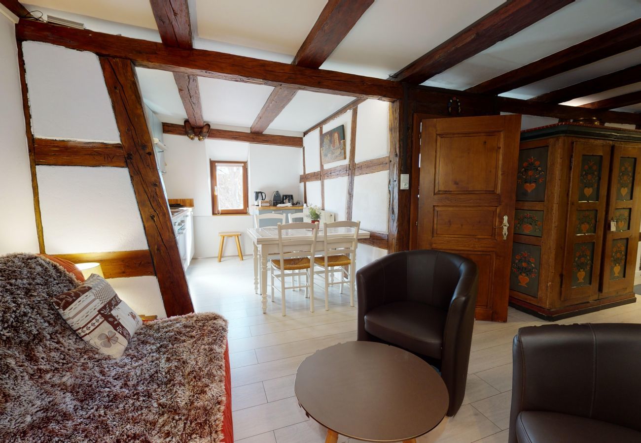 Ferienhaus in Colmar - maison le clos bartholdi 4br 4bth + lounge