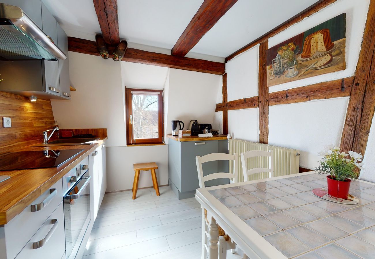 Ferienhaus in Colmar - maison le clos bartholdi 4br 4bth + lounge