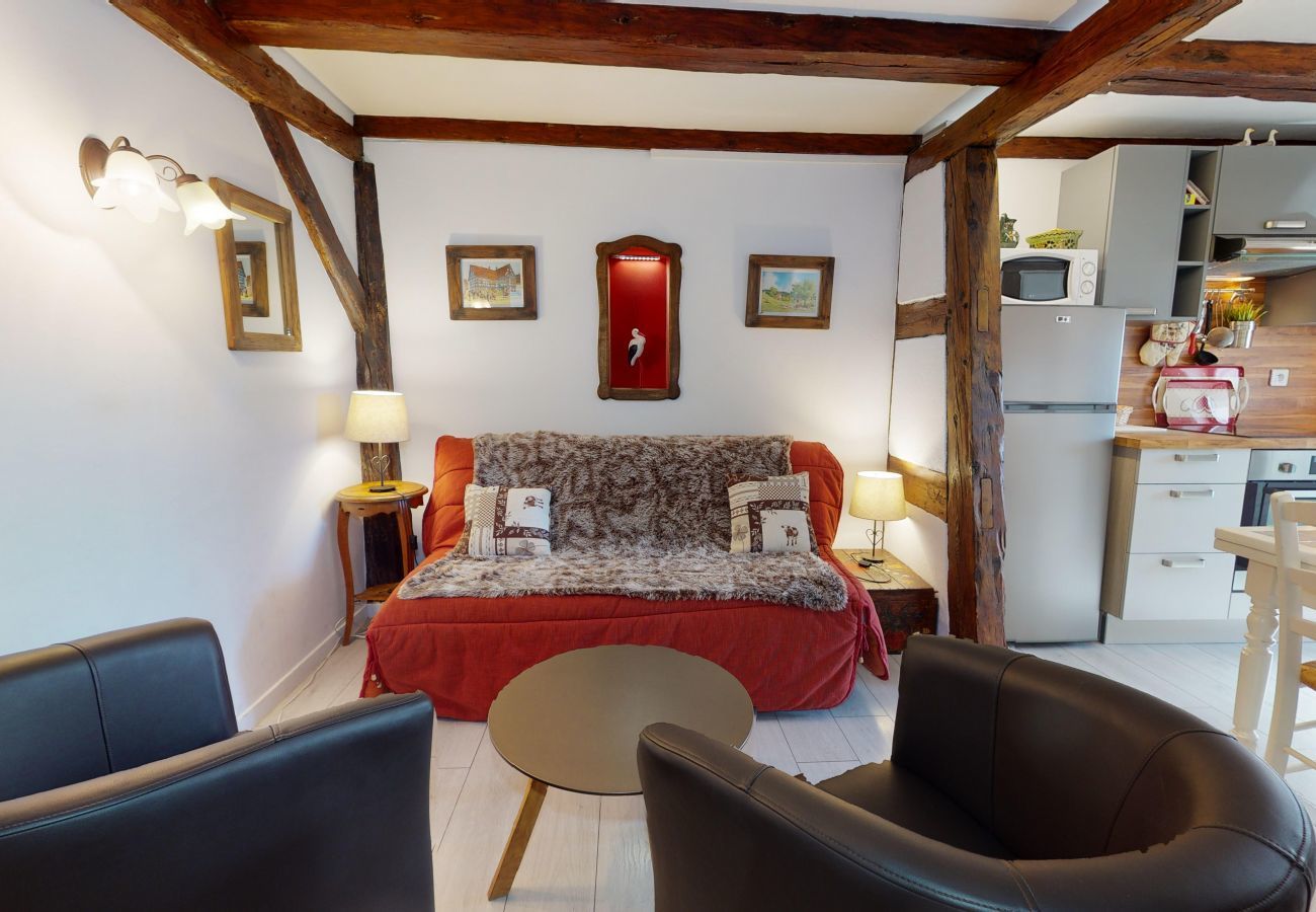 Ferienhaus in Colmar - maison le clos bartholdi 4br 4bth + lounge