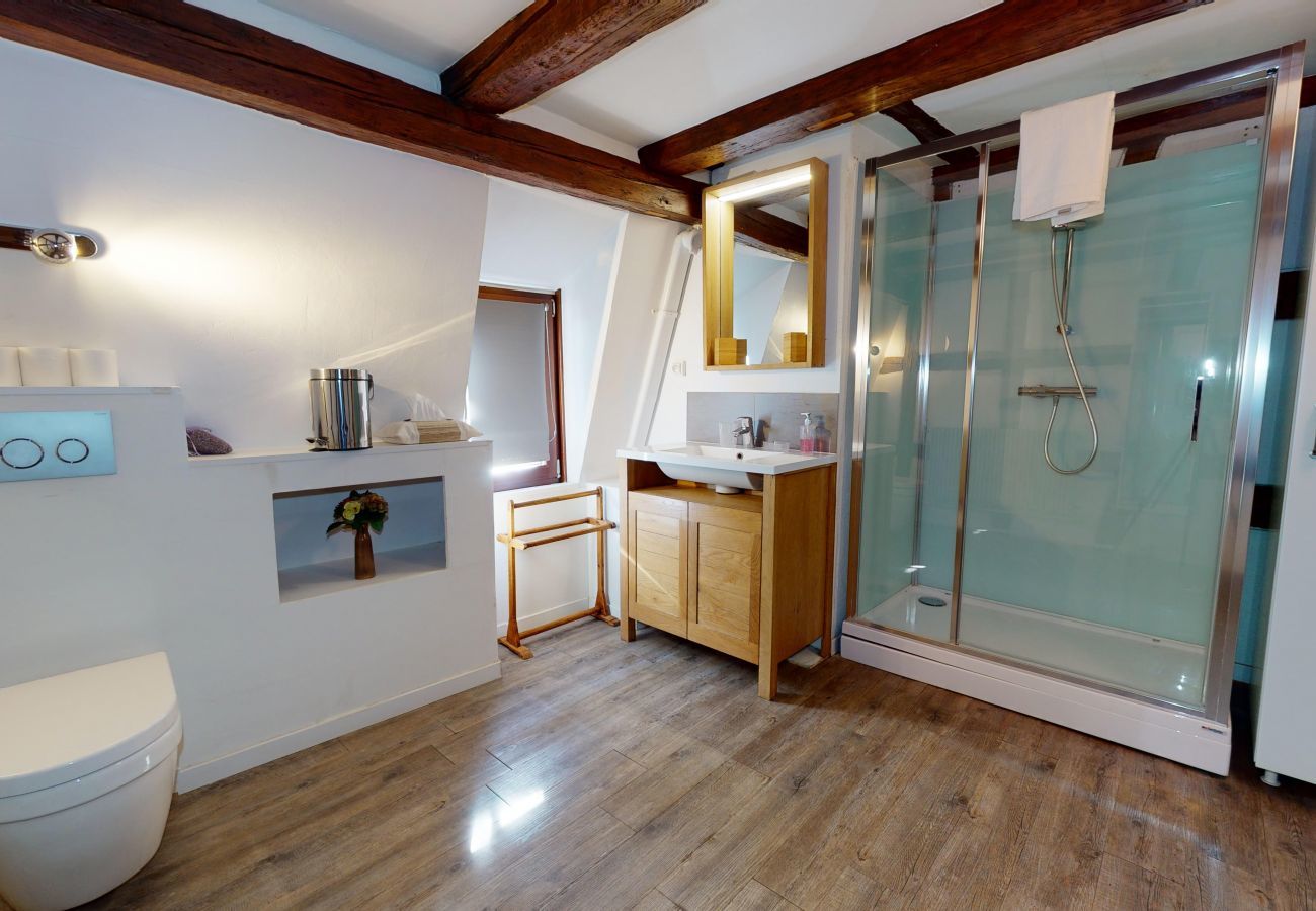 Ferienhaus in Colmar - maison le clos bartholdi 4br 4bth + lounge