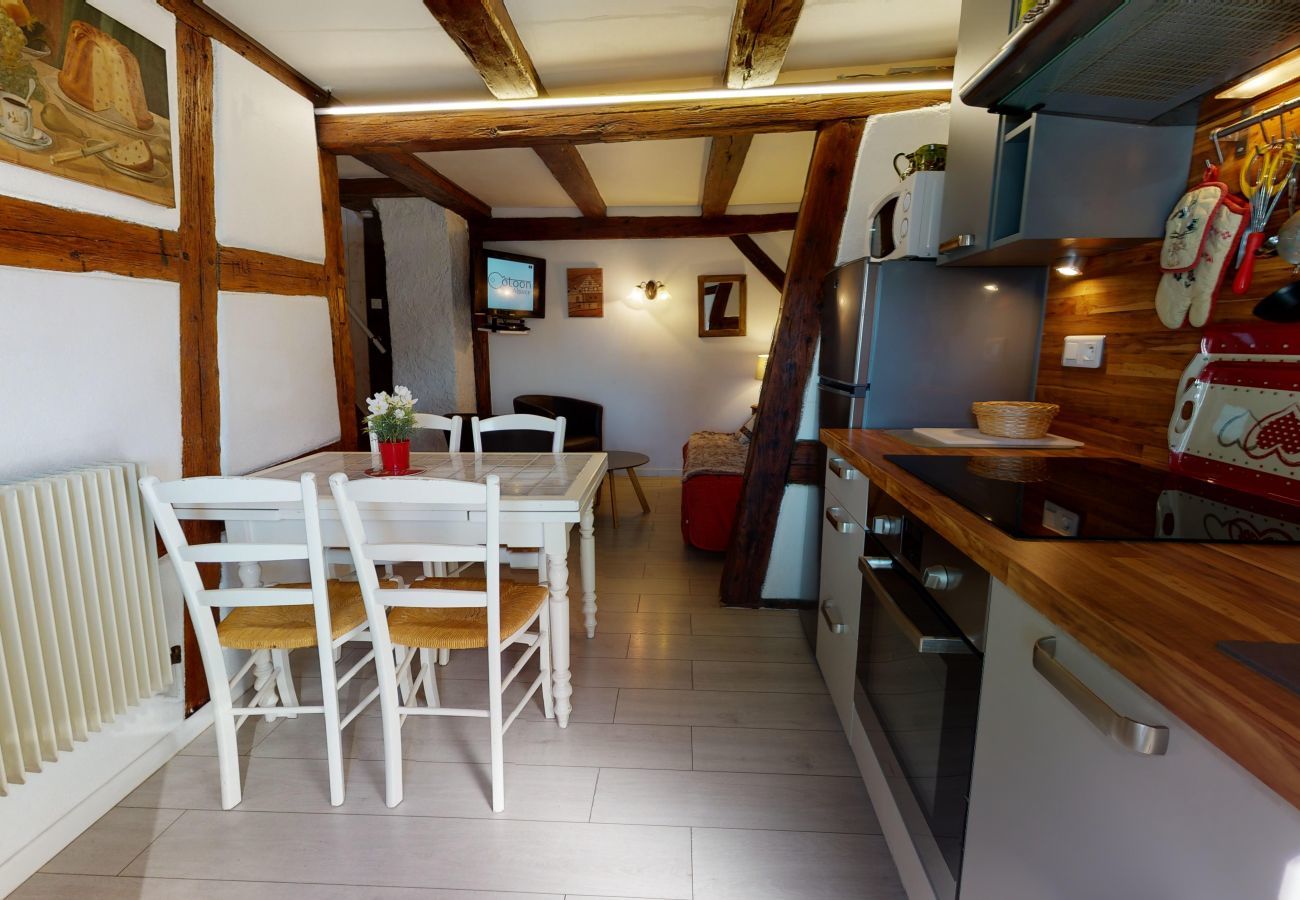 Ferienhaus in Colmar - maison le clos bartholdi 4br 4bth + lounge