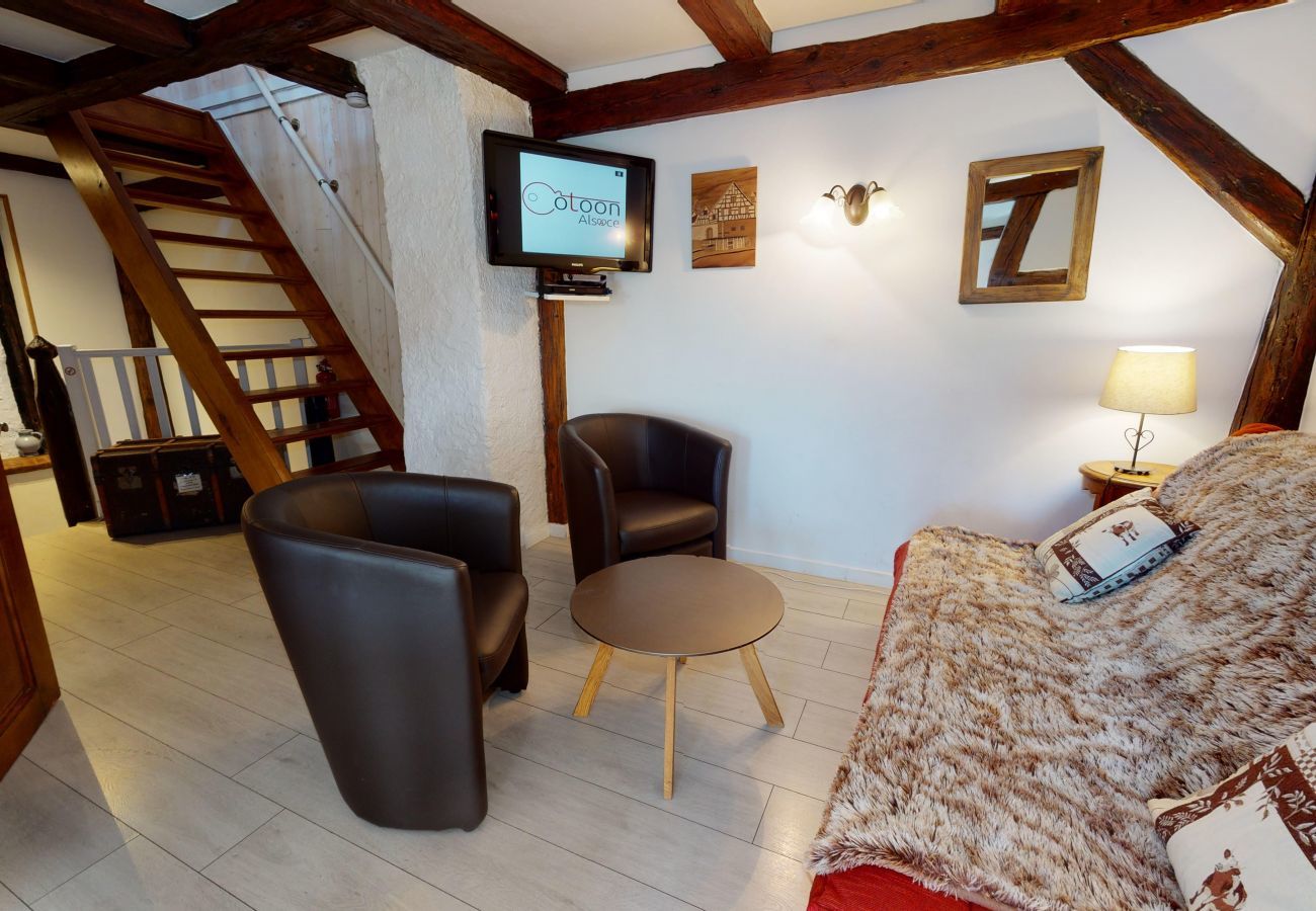 Ferienhaus in Colmar - maison le clos bartholdi 4br 4bth + lounge