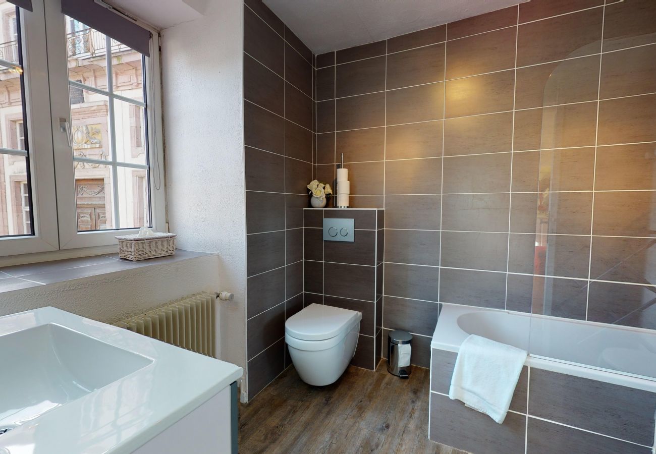 Ferienhaus in Colmar - maison le clos bartholdi 4br 4bth + lounge